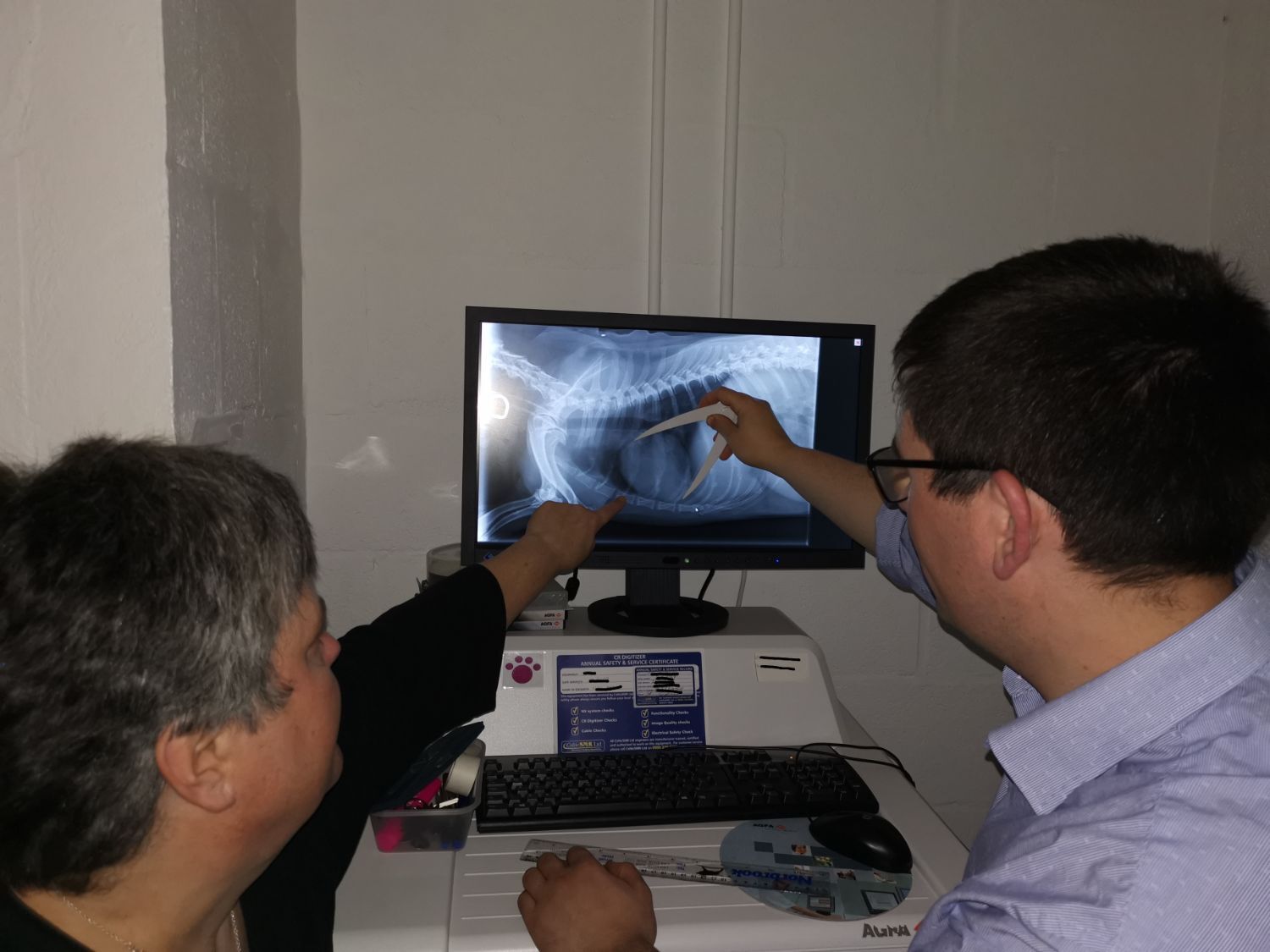 Vets reviewing a digital X-ray on screen